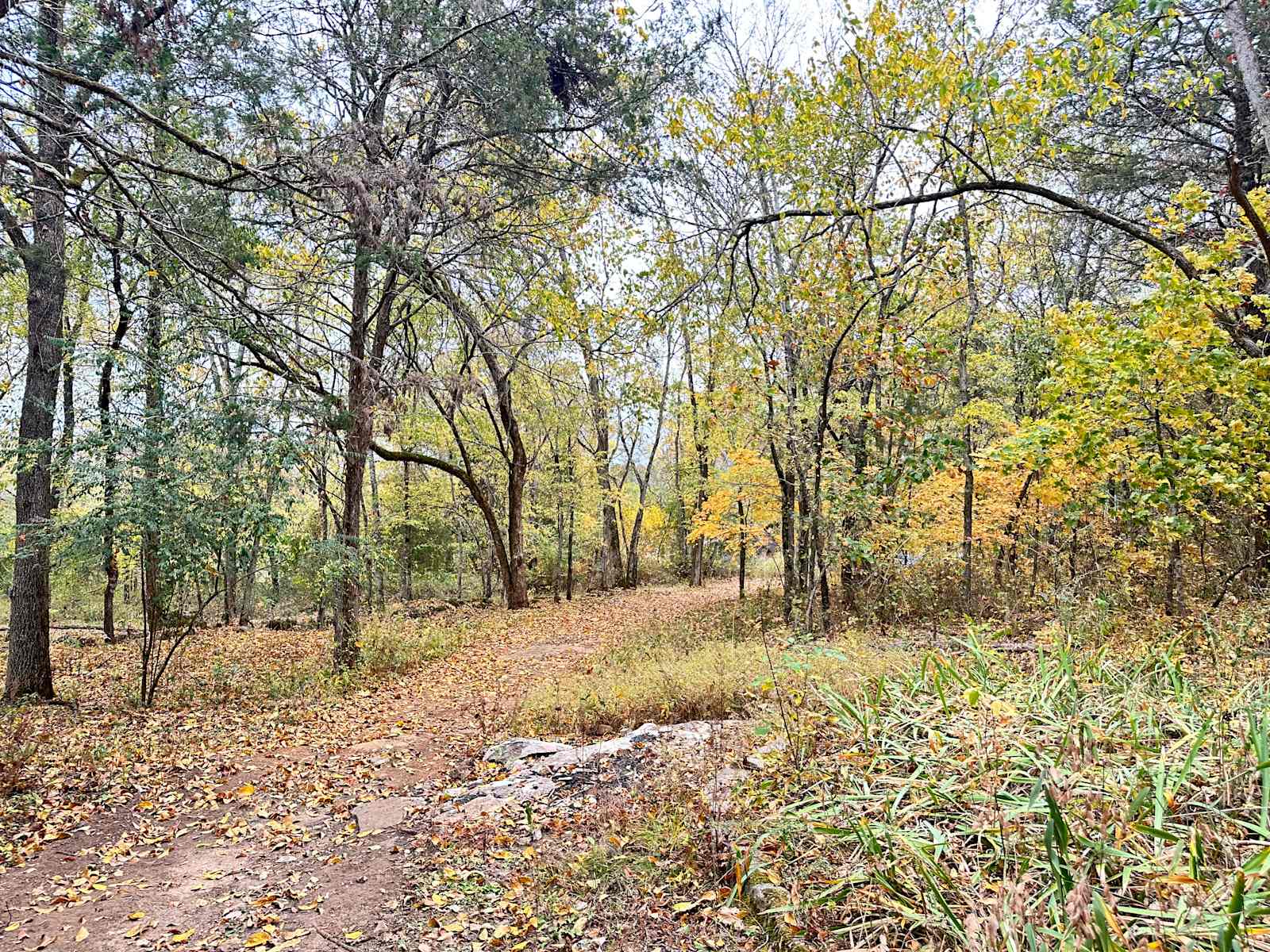 Scott Family Farm & Retreat - Batesville, Arkansas - glamping.directory