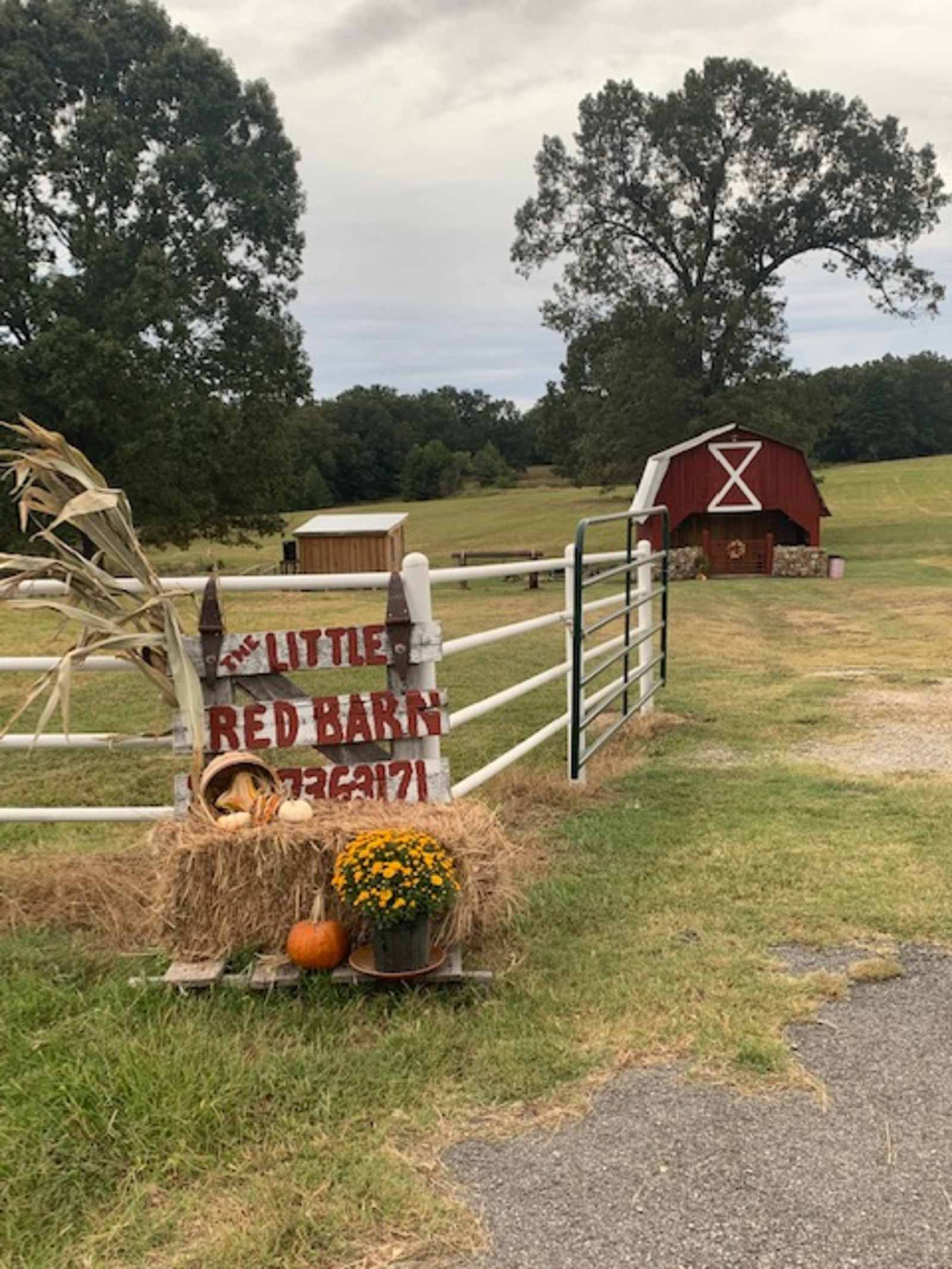 The Little Red Barn Campsites - Calico Rock, Arkansas - glamping.directory