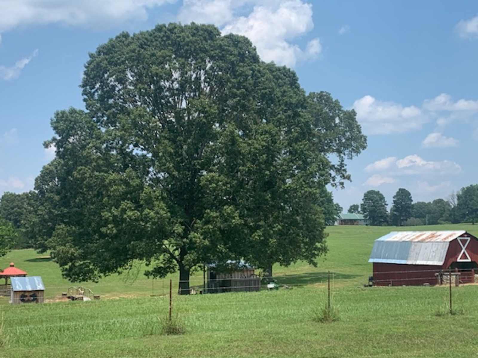 The Little Red Barn Campsites - Calico Rock, Arkansas - glamping.directory