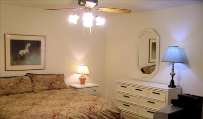 Charming Cottage Rental with Private Dock on Lake Murray, South Carolina - Prosperity, South Carolina - glamping.directory