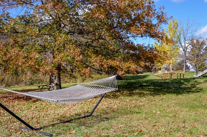 Unique Getaway in a Beautiful Yoga Retreat close to Williamsburg, Virginia - Madison, Virginia - glamping.directory