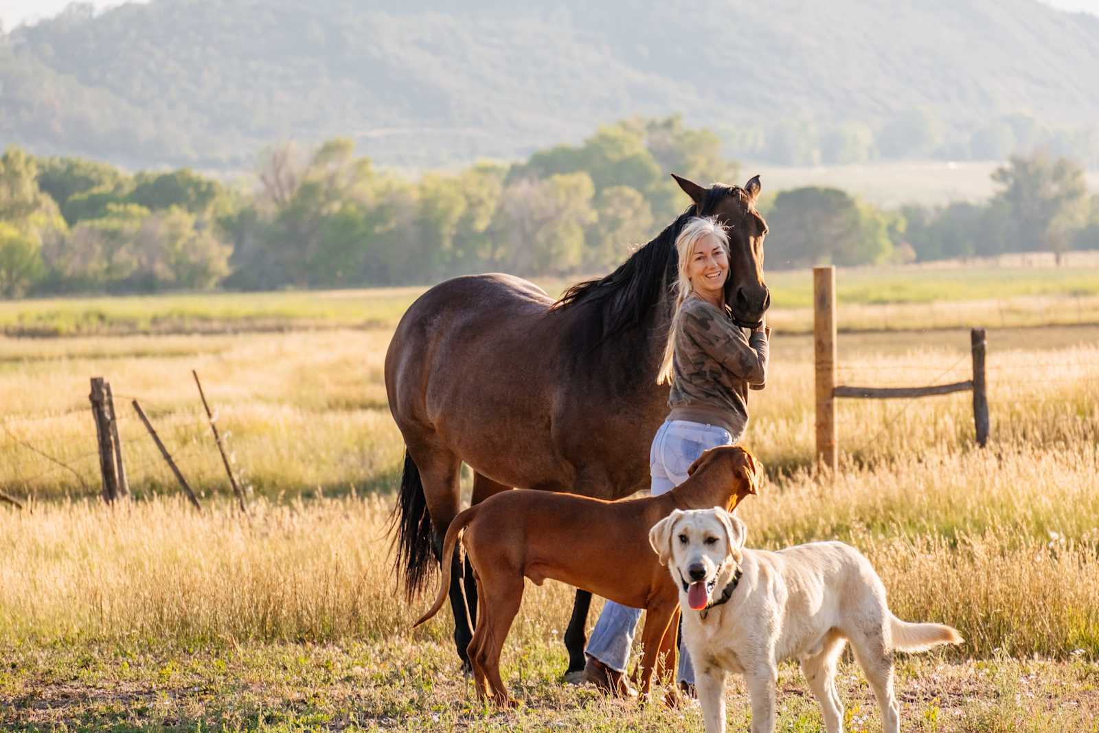 Double Rose Ranch - Crawford, Colorado - glamping.directory
