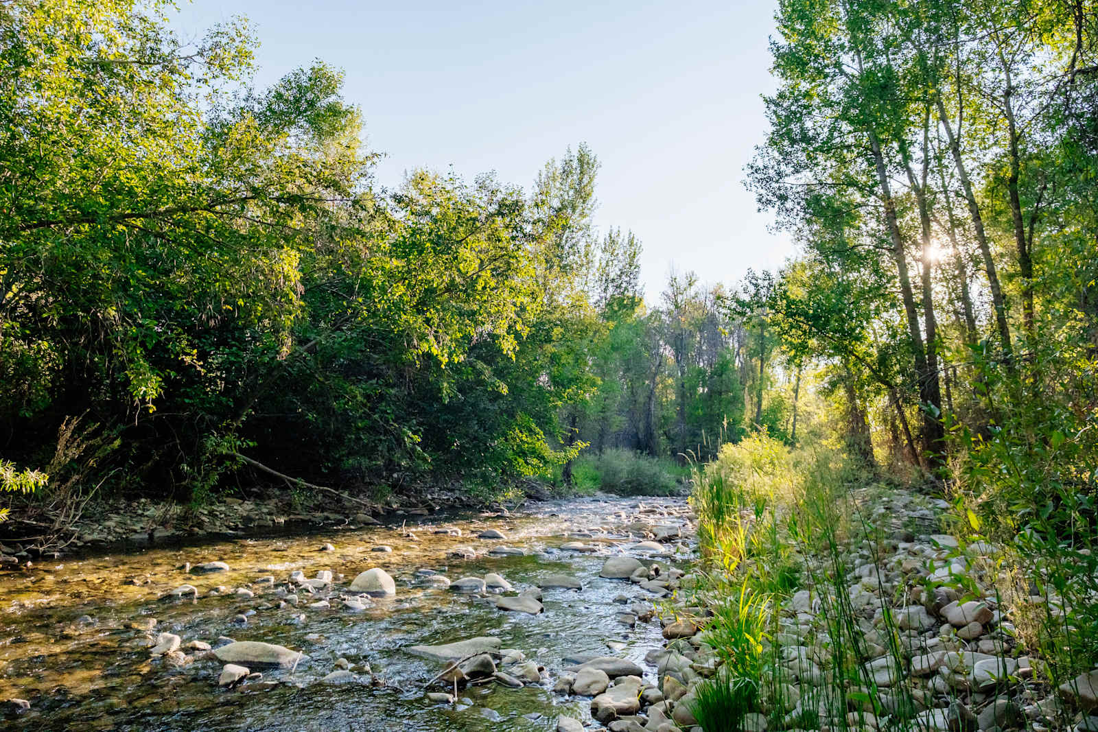 Double Rose Ranch - Crawford, Colorado - glamping.directory