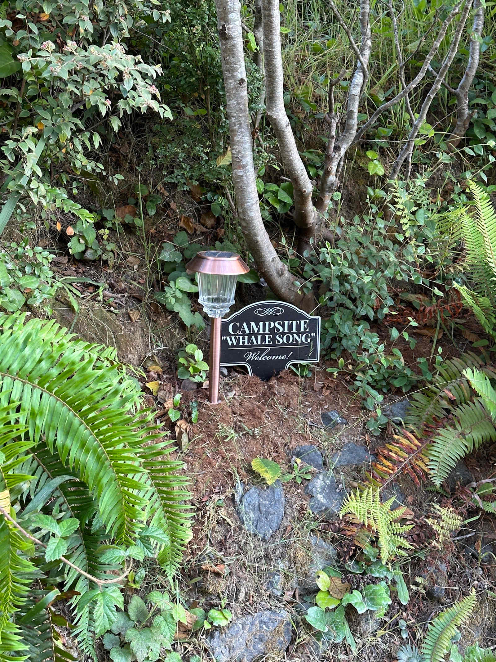 Mendocino Coast RV / Campers - Mendocino, California - glamping.directory