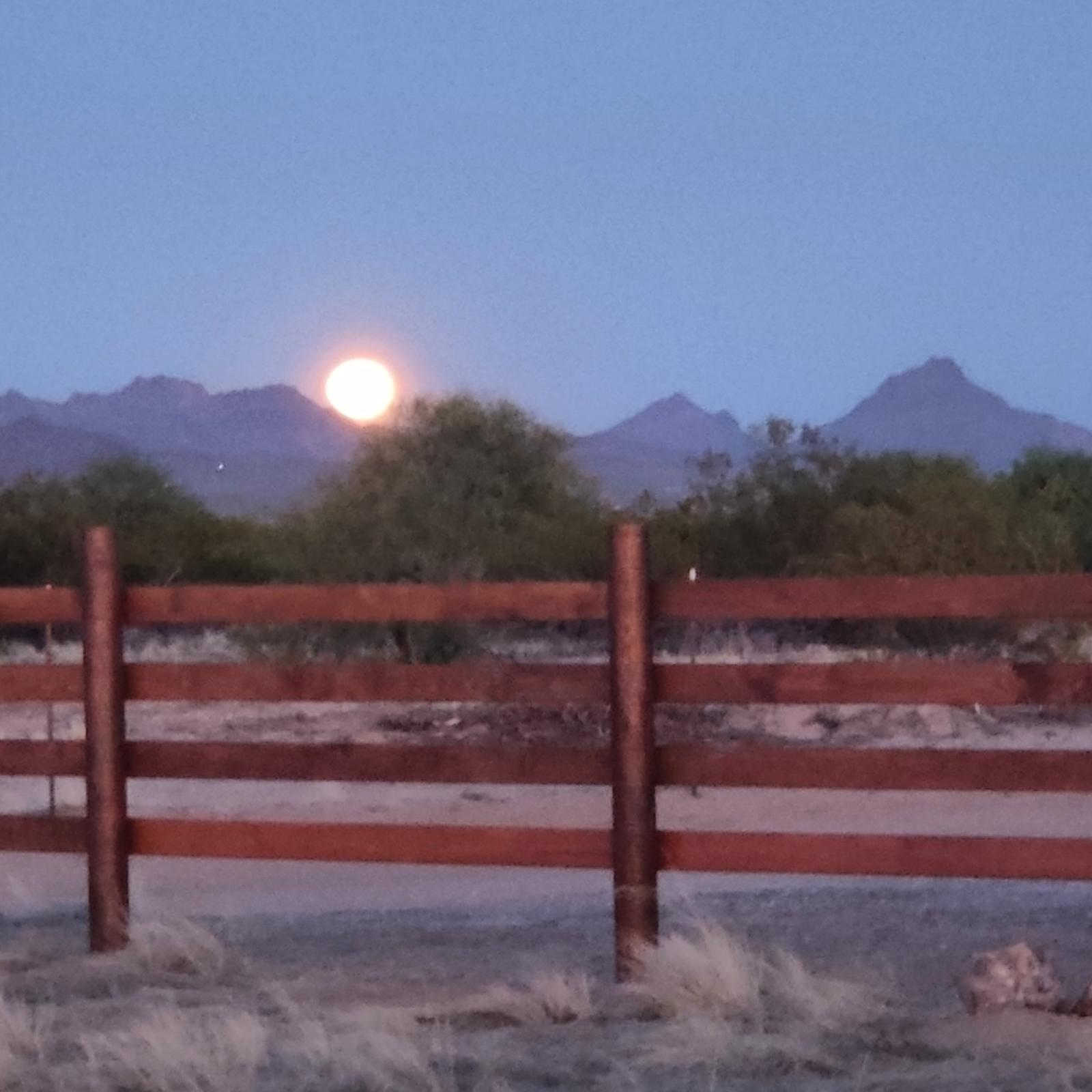 Iron Quail Ranch - Picture Rocks, Arizona - glamping.directory