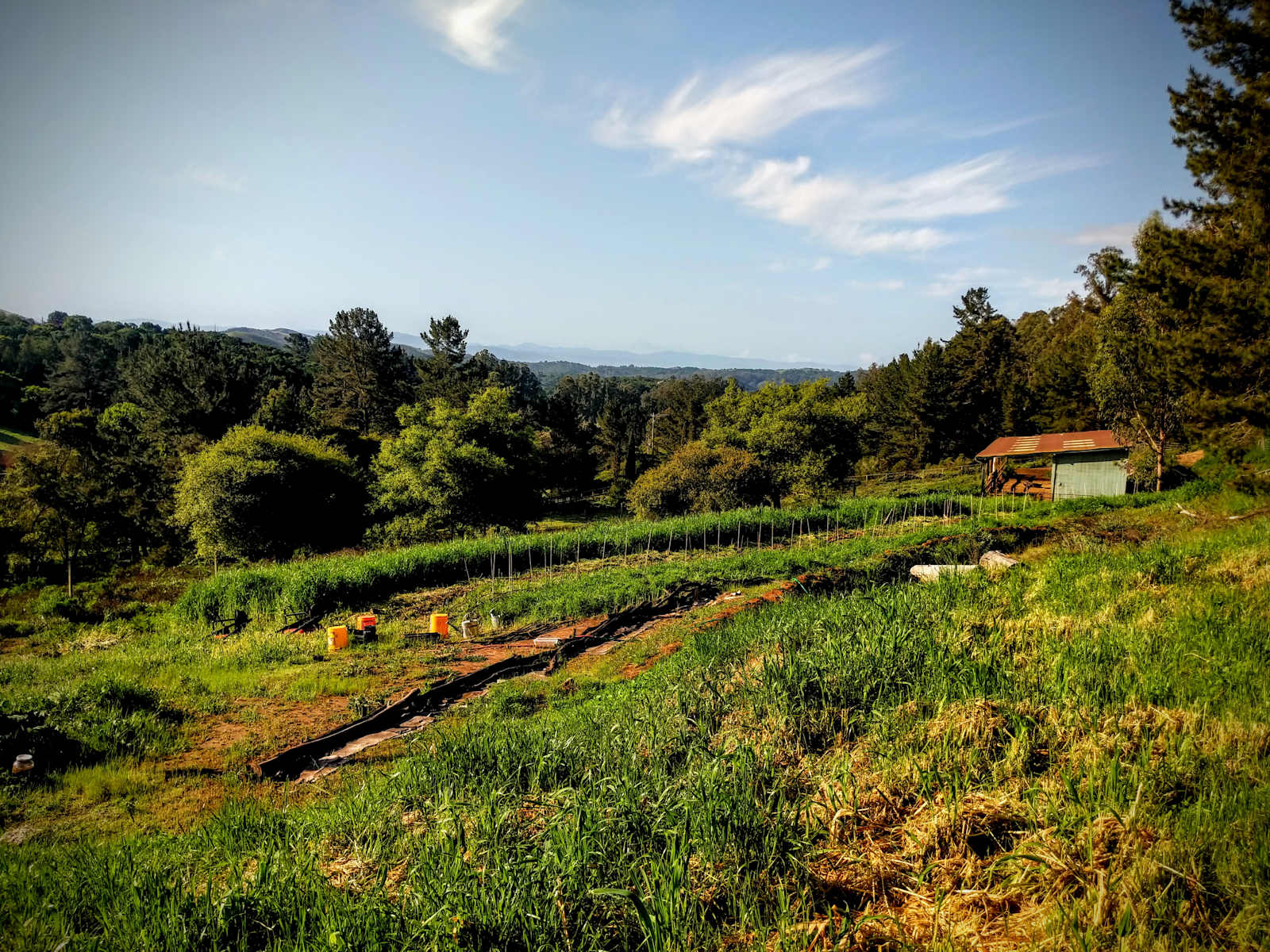 Terra Cultura - glamping.directory