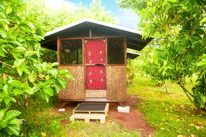 Secluded Cabin for a Yoga and Meditation Retreat on Hawaii Island - Pahoa, Hawaii - glamping.directory