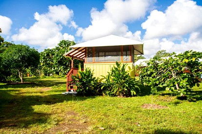 Secluded Cabin for a Yoga and Meditation Retreat on Hawaii Island - Pahoa, Hawaii - glamping.directory