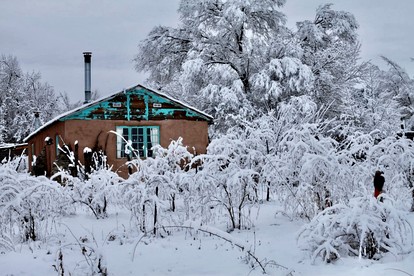 Cozy Cabin Suite with Orchard Views near Taos, New Mexico - San Cristobal, New Mexico - glamping.directory