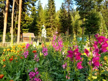 Sanctuary Farm Log Cabin Mountain Getaway, Alberton, MT - Alberton, Montana - glamping.directory