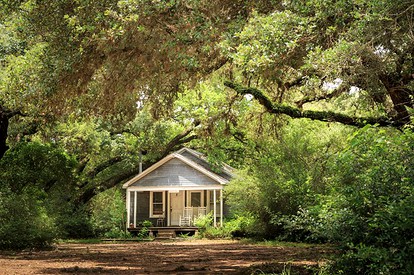 Captivating Cabin with Vintage Decor on Working Ranch and B&B near Houston, Texas - Cat Spring, Texas - glamping.directory