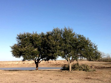 Secluded Group Cabin on Fun Ranch near Gonzales, Texas - Gonzales, Texas - glamping.directory