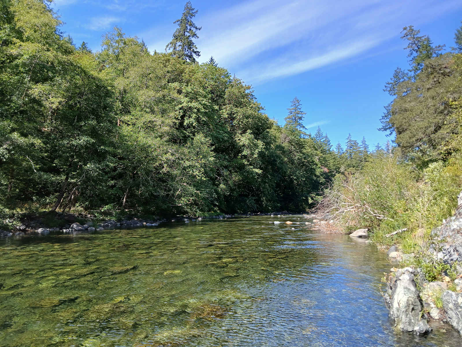 Azalea River - Gasquet, California - glamping.directory