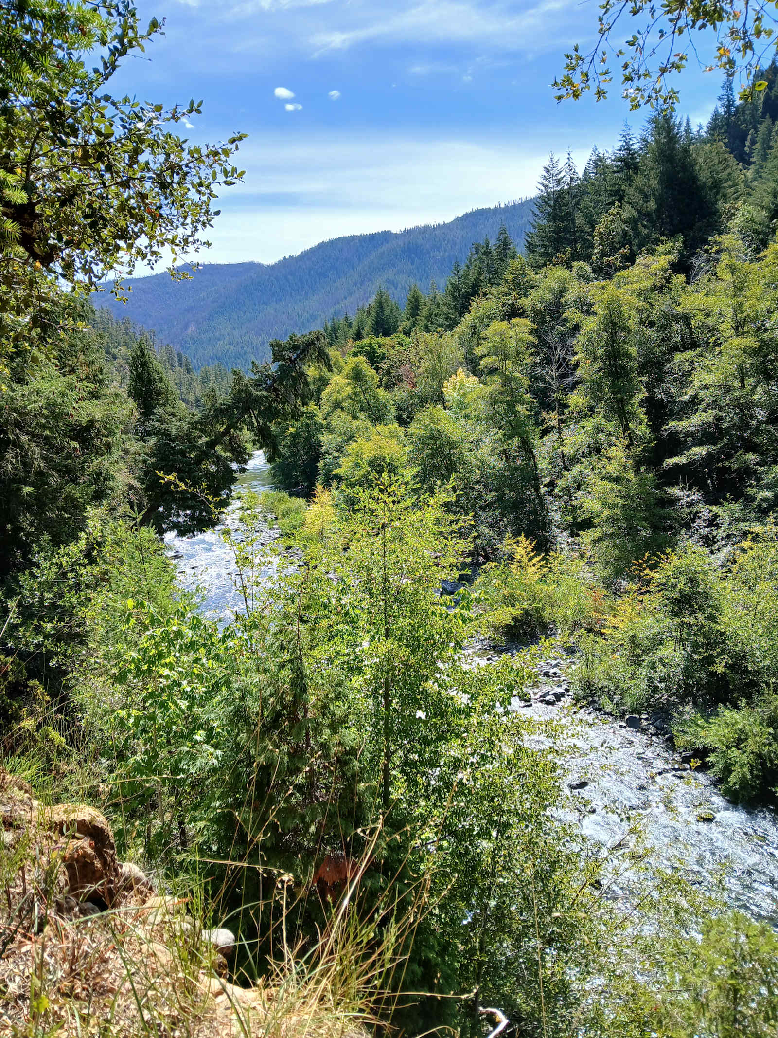 Azalea River - Gasquet, California - glamping.directory