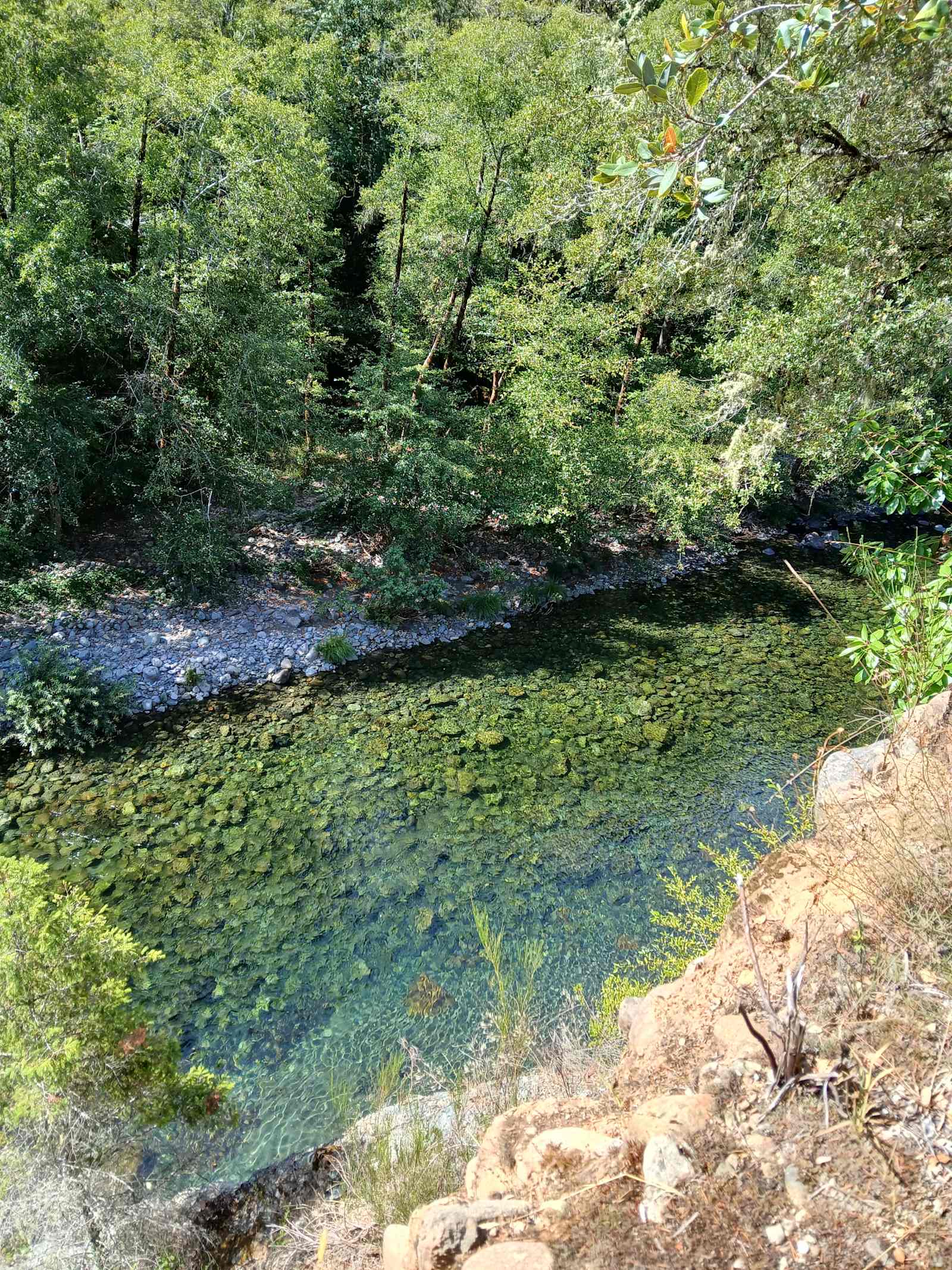 Azalea River - Gasquet, California - glamping.directory