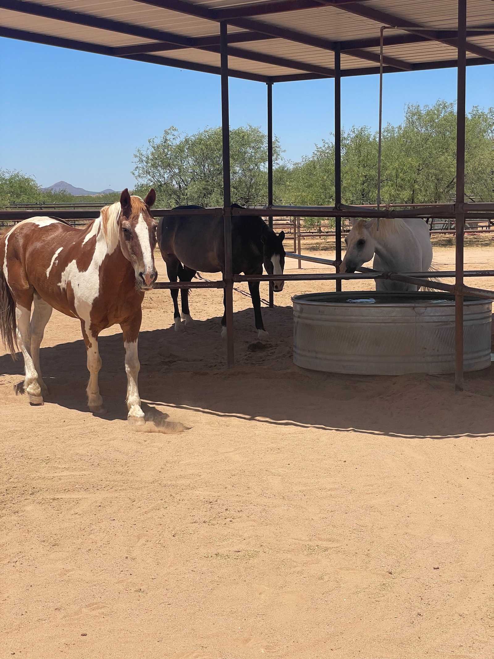 Gated Equestrian Retreat - Picture Rocks, Arizona - glamping.directory
