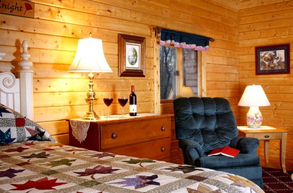 Cozy Finger Lakes Cabin Rentals with Forest Views - Penn Yan, New York - glamping.directory