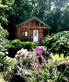 Cozy Finger Lakes Cabin Rentals with Forest Views - Penn Yan, New York - glamping.directory