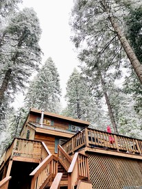 Cozy Cabin in Lush Forest with Shared Pool near Bear Valley Ski Resort in Arnold, California - glamping.directory