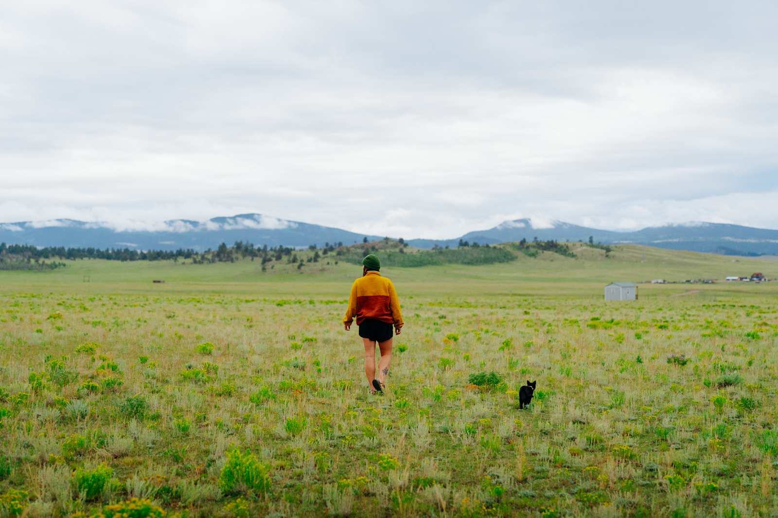 Heart of Colorado Campsite - Hartsel, Colorado - glamping.directory