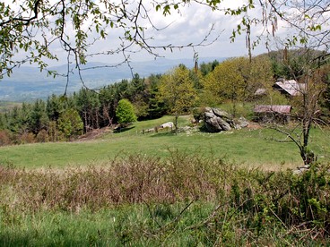 Rustic Log Cabin with Spectacular Mountain Vistas in Piedmont Region, Virginia - Independence, Virginia - glamping.directory