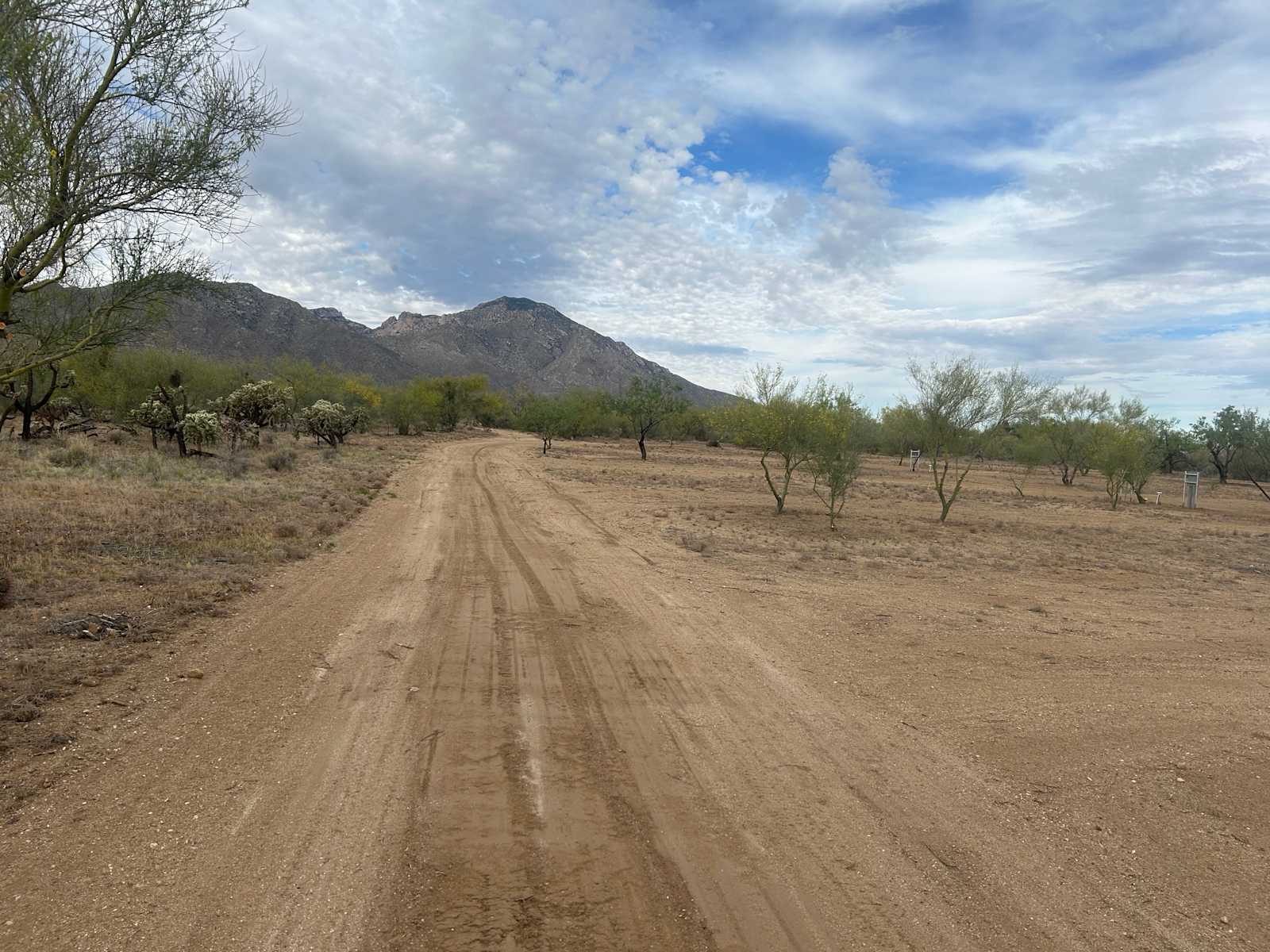 Split Nose Ranch - Tucson, Arizona - glamping.directory