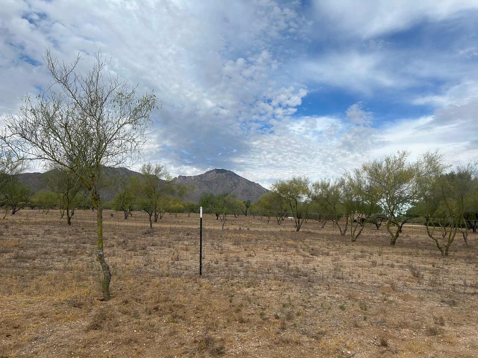 Split Nose Ranch - Tucson, Arizona - glamping.directory