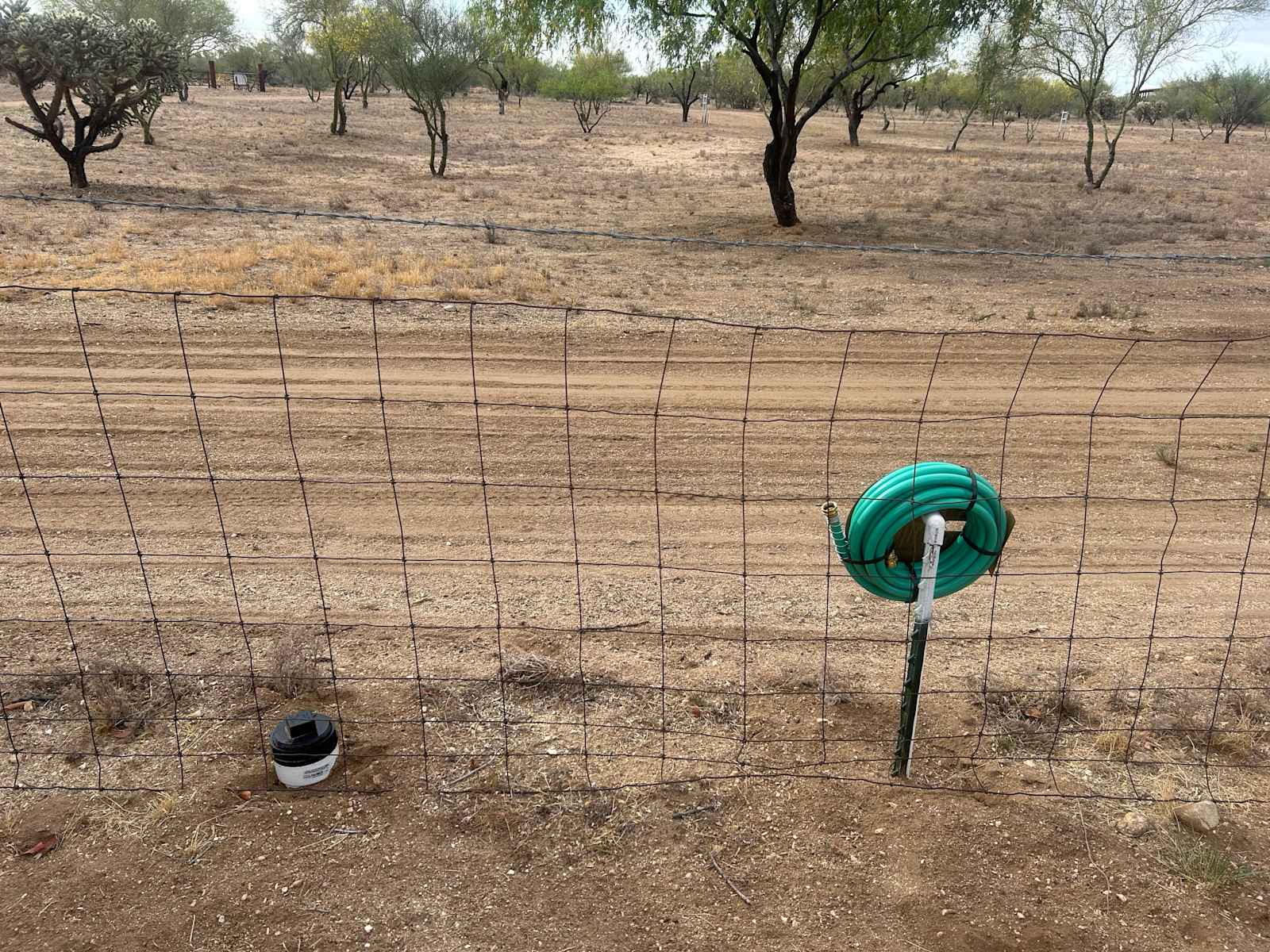 Split Nose Ranch - Tucson, Arizona - glamping.directory