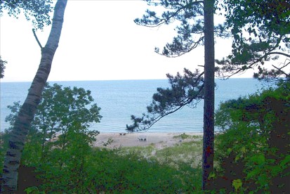Fully-Furnished Lake Cabin Rental near Grand Rapids, Michigan - glamping.directory