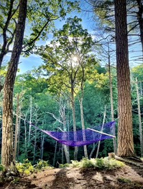 Beautiful Dome Rental, Superb for a City Escape - Wallkill, New York - glamping.directory