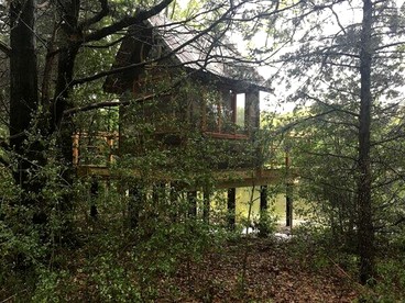 Texas Safari Camp Hummingbird Tree House - Kaufman, Texas - glamping.directory
