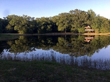Texas Safari Camp Hummingbird Tree House - Kaufman, Texas - glamping.directory