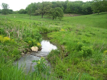 Country Cottage Rental on 50 Acres of Sublime Land in Southwest Wisconsin - Blanchardville, Wisconsin - glamping.directory