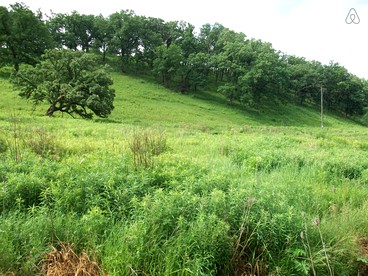 Country Cottage Rental on 50 Acres of Sublime Land in Southwest Wisconsin - Blanchardville, Wisconsin - glamping.directory