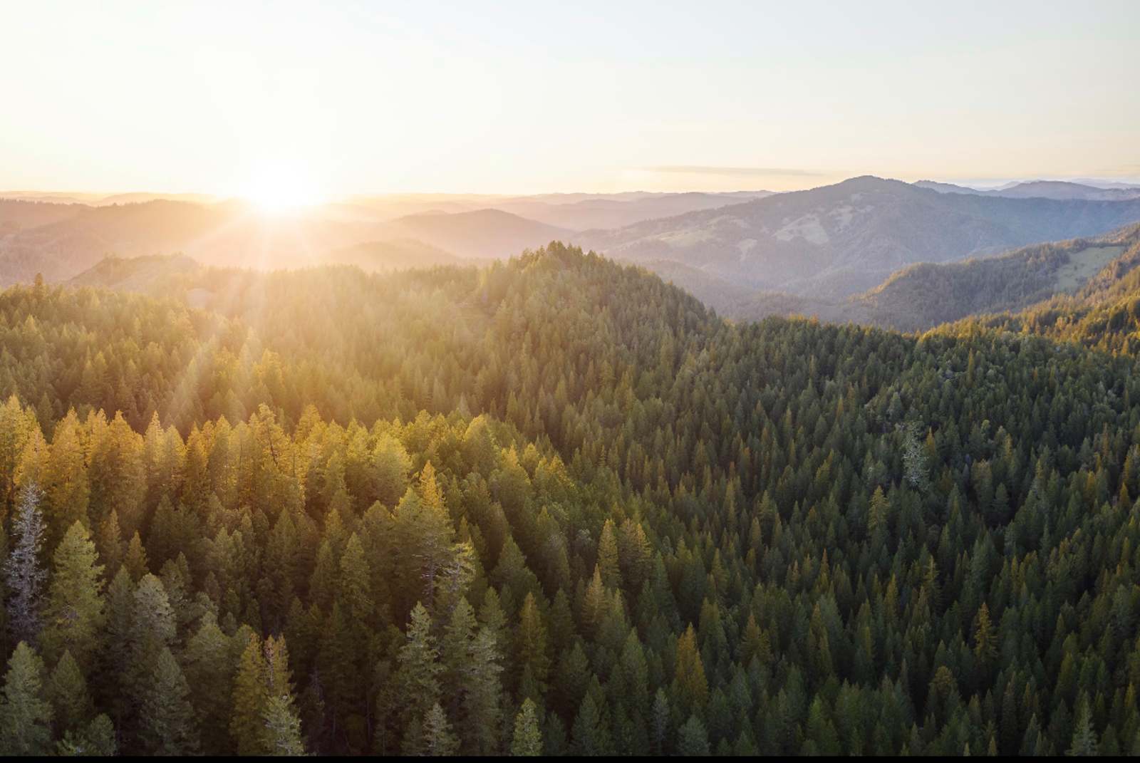 Leonard Lake Reserve - Ukiah, California - glamping.directory
