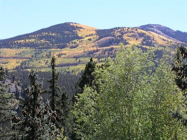 Romantic Cabin Rental with a Beautiful Log Interior near Cathedral, Colorado - glamping.directory