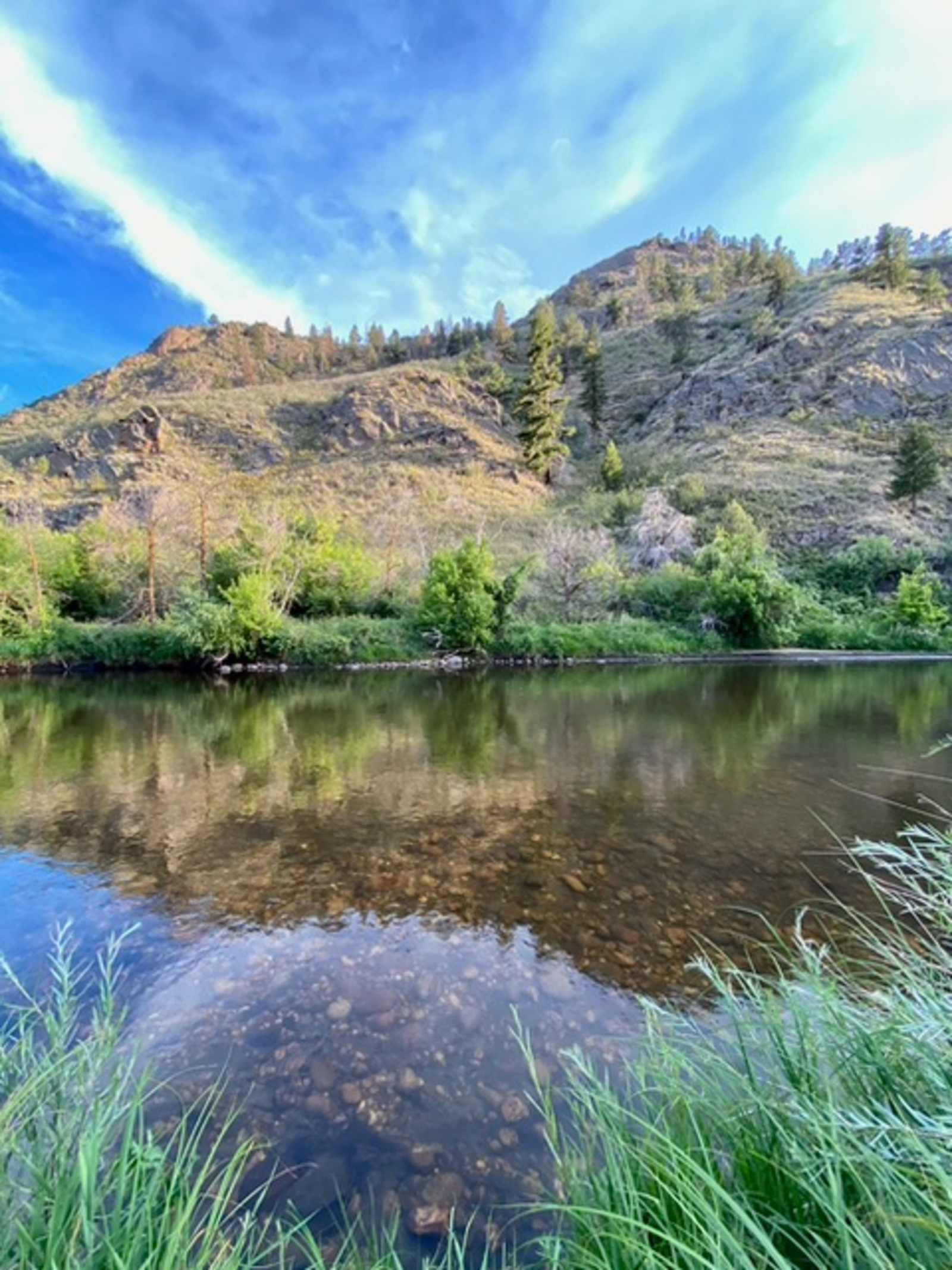 Basecamp On The Poudre - Bellvue, Colorado - glamping.directory