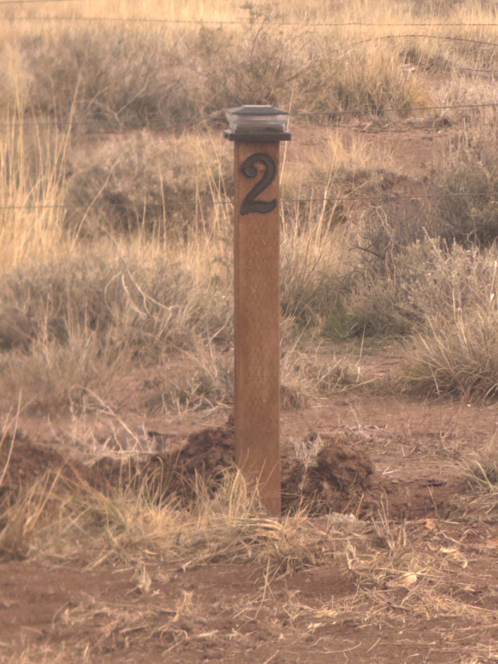 Scarlet Horizon - Concho, Arizona - glamping.directory