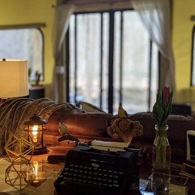 Delightful Stays in Wooster, Ohio, in Cozy Safari Tent Rental - Wooster, Ohio - glamping.directory