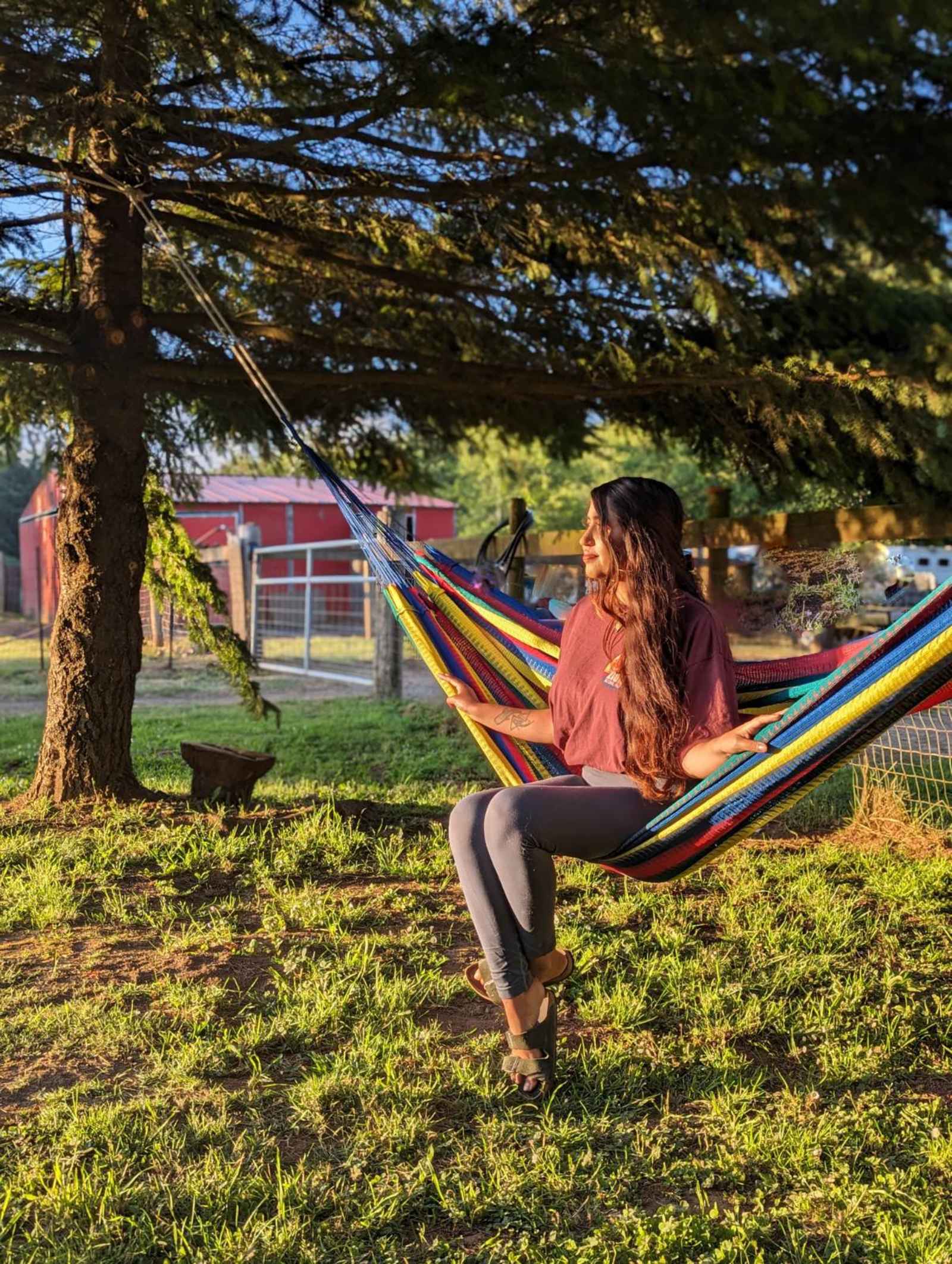 Lower Lake Farm Camp - Crescent City, California - glamping.directory