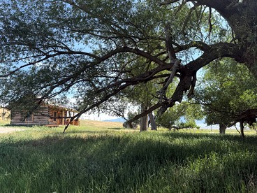Charming Cabin with Pond and Mountain Views near Downtown Ennis, Montana - Ennis, Montana - glamping.directory
