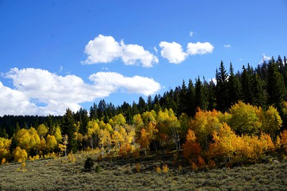 Peaceful Yurt for Off-Grid Getaway in Soldier Summit, Utah - Colton, Utah - glamping.directory