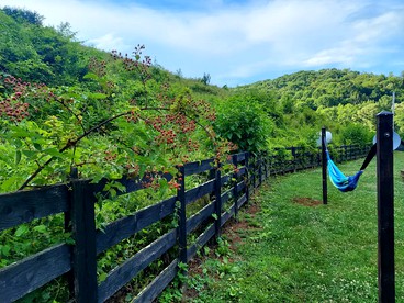 Cabin Retreat near Grayson Highlands State Park for Family Glamping Stays in Virginia - Mouth of Wilson, Virginia - glamping.directory