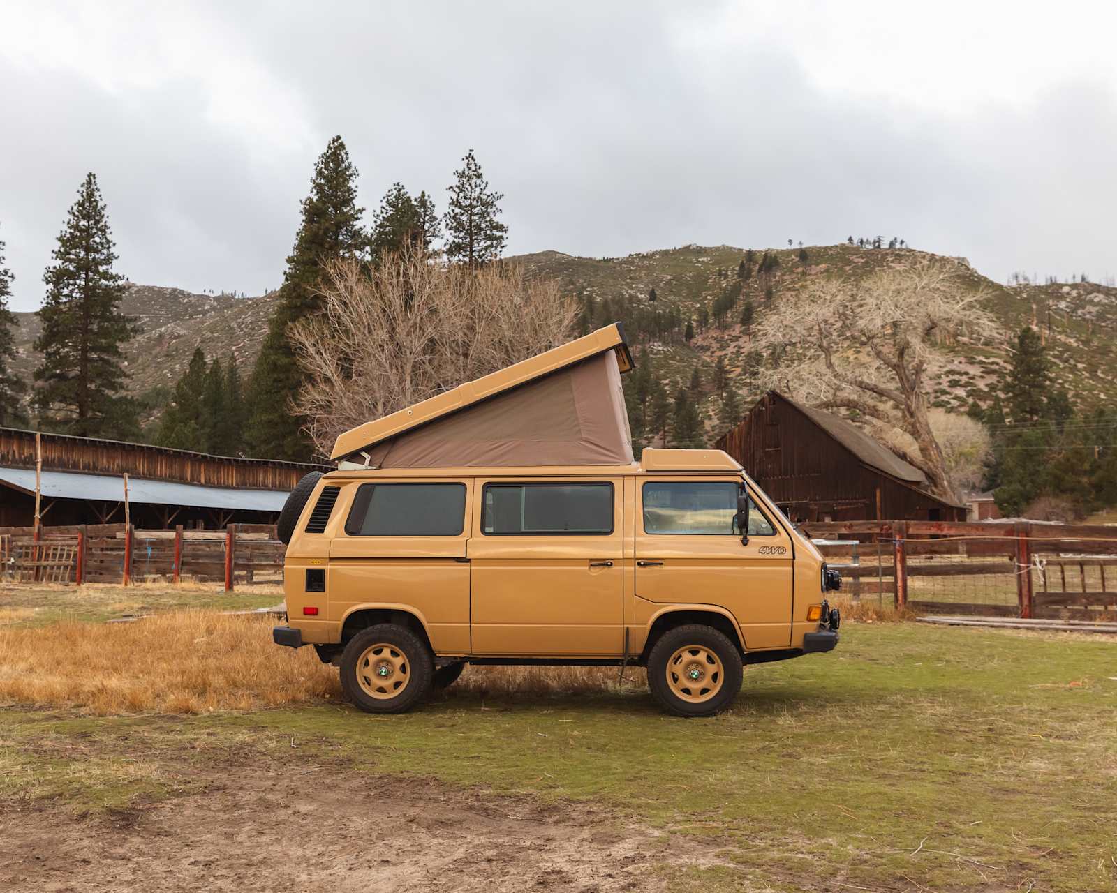 Alpaca Adventures at Honey Lake - glamping.directory
