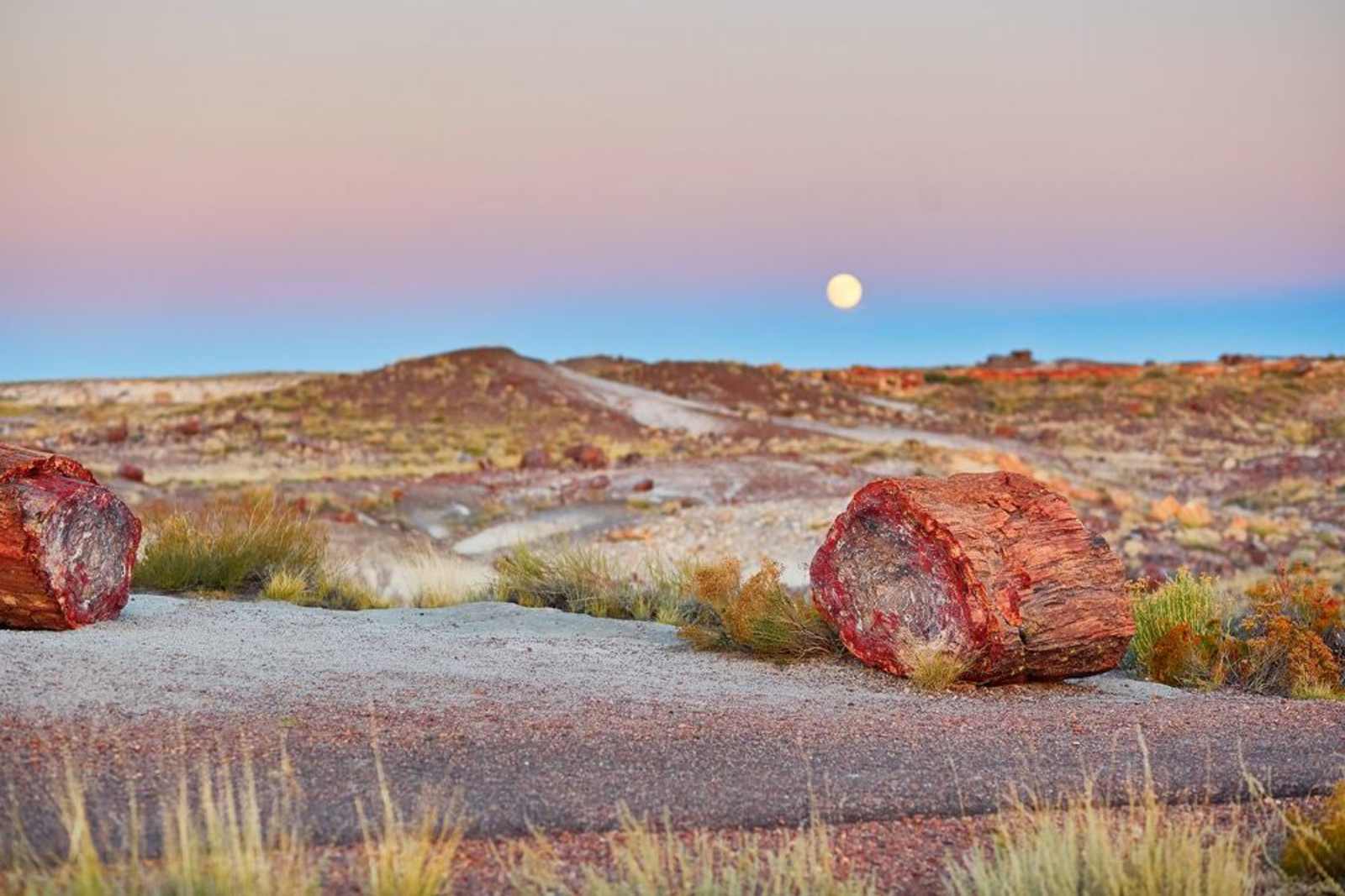 Shooting Star Ranch - Holbrook, Arizona - glamping.directory