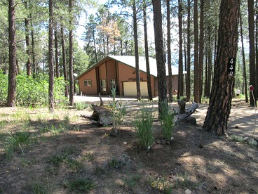 Rustic Mountain Cabin Rental near Hot Springs in Pagosa Springs, Colorado - Pagosa Springs, Colorado - glamping.directory