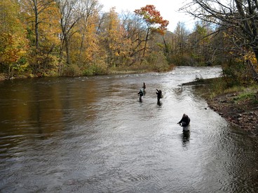 Cozy Three-Bedroom Cabin Near The Salmon River in Altmar, New York - Altmar, New York - glamping.directory