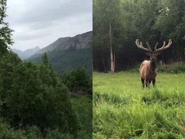 Comfortable Getaway Rental with Incredible Mountain Views near Anchorage, Alaska - Palmer, Alaska - glamping.directory