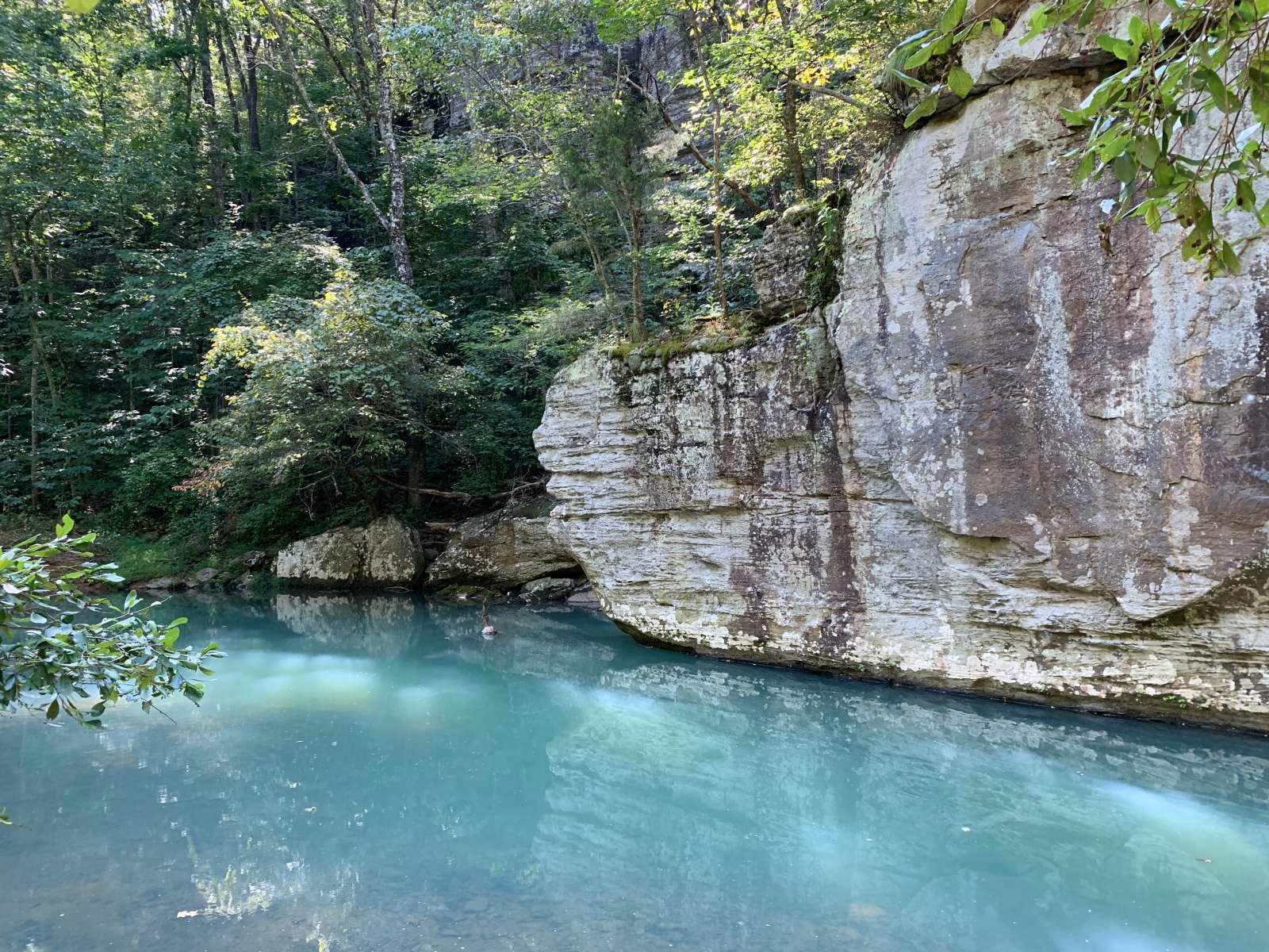 Red Fern - Witter, Arkansas - glamping.directory
