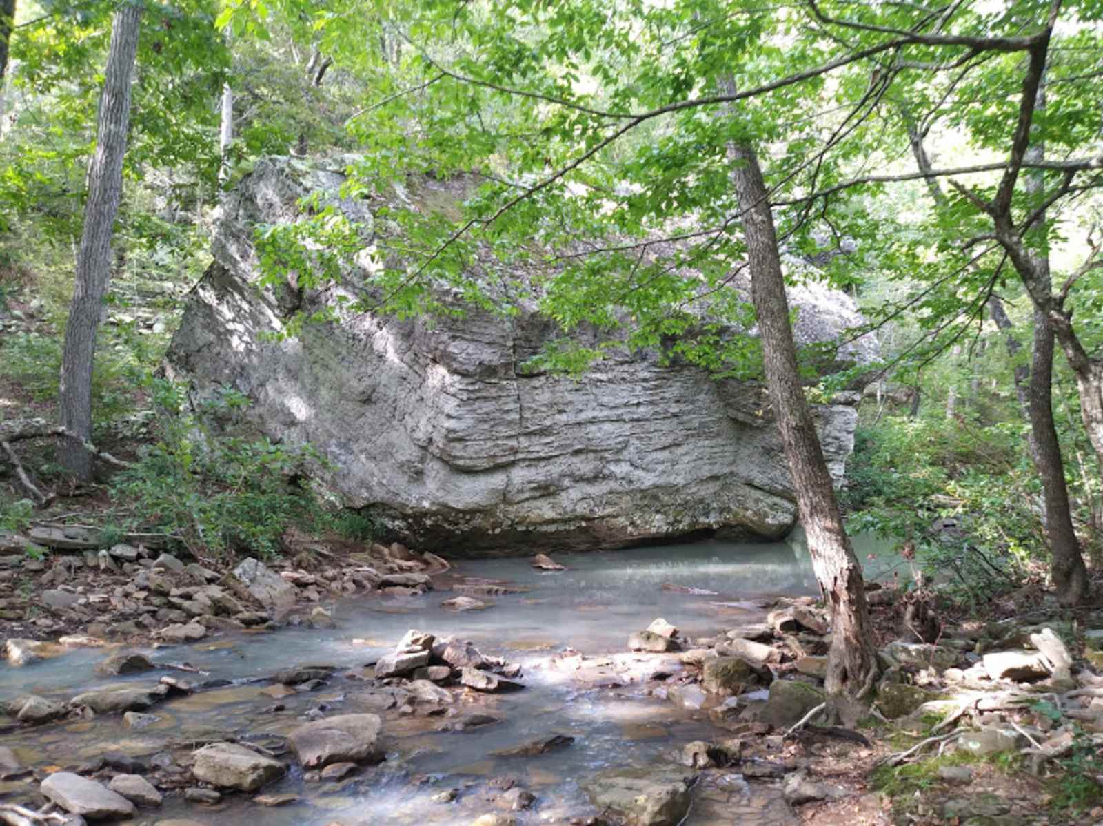 Red Fern - Witter, Arkansas - glamping.directory